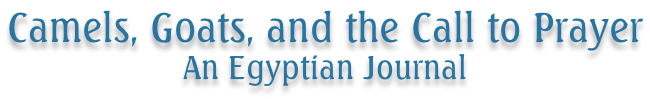 Camels, Goats, and the Call to Prayer An Egyptian Journal